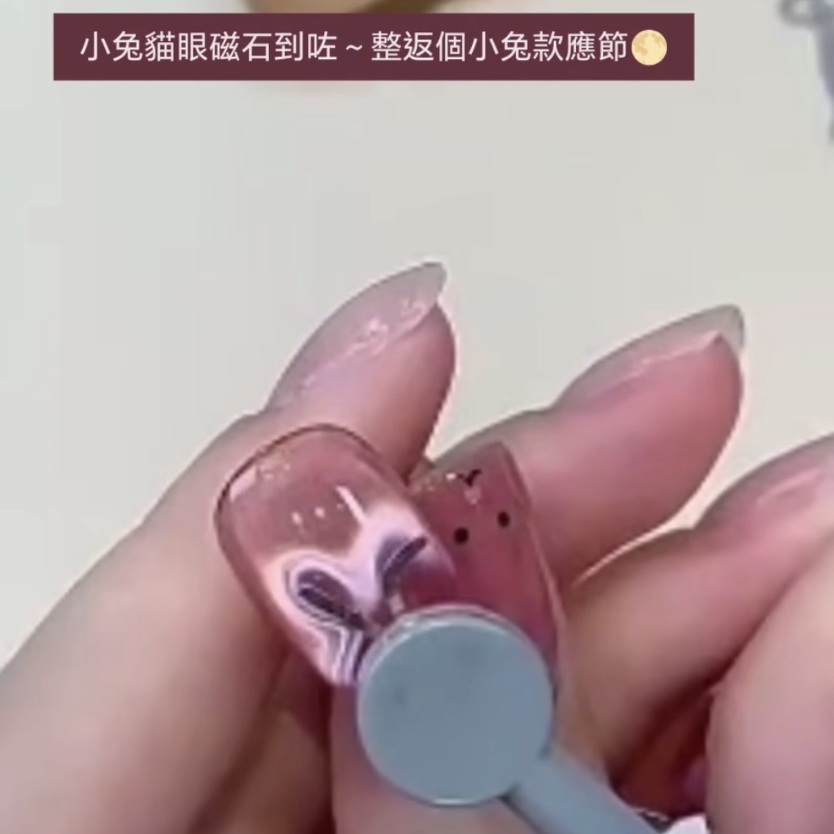 貓眼🤍 兔仔耳工具