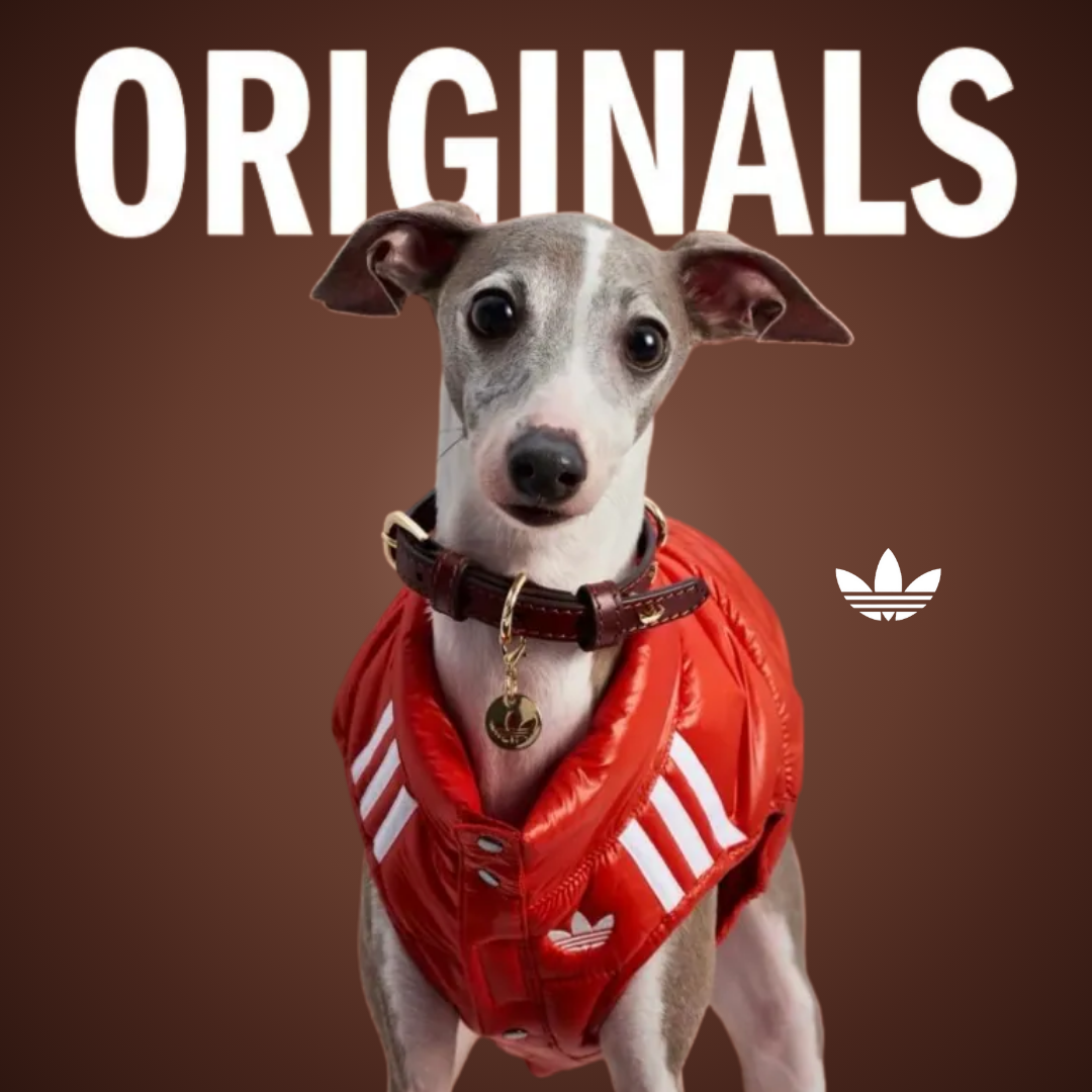 Adidas Originals寵物亮面保暖背心 經典黑 橘紅色
