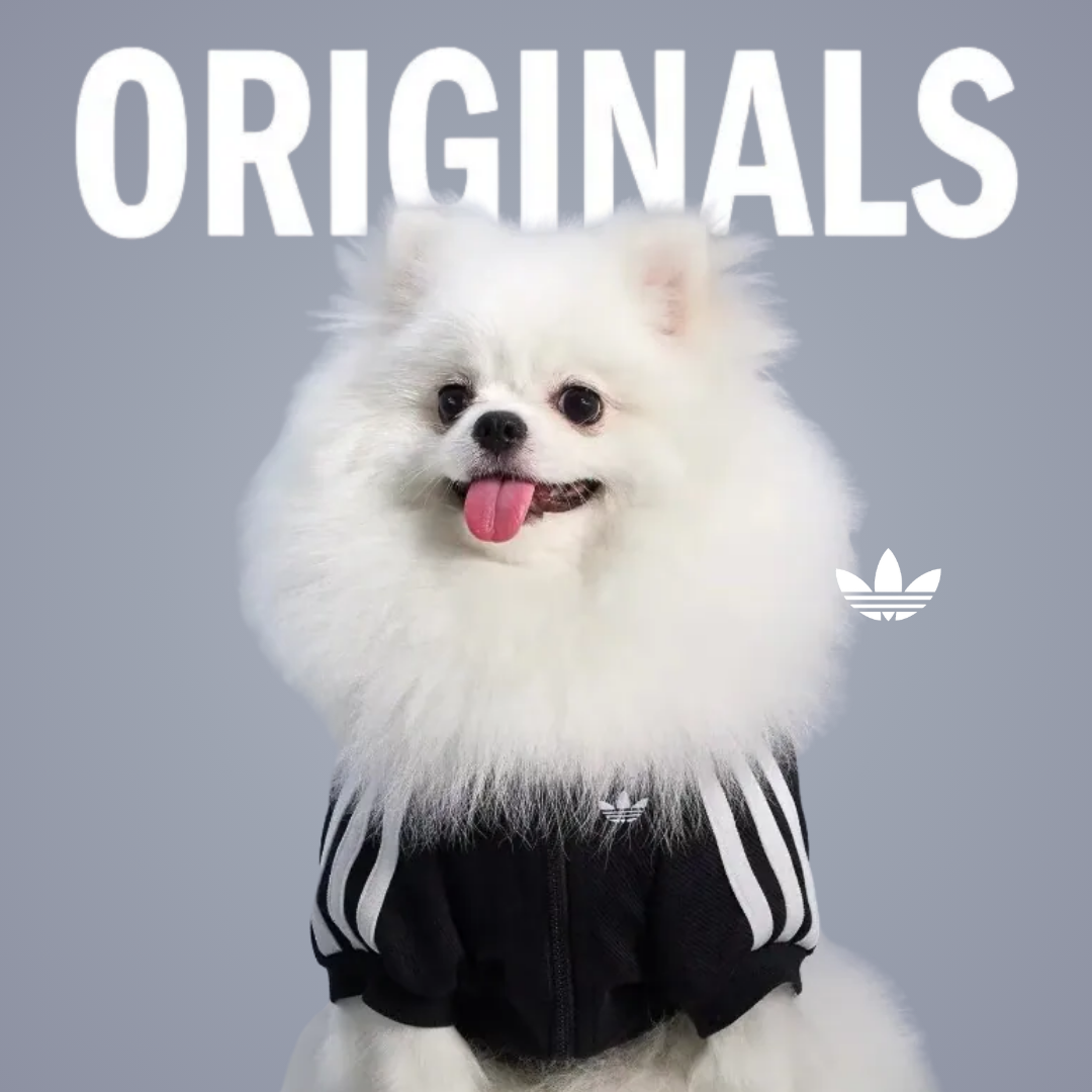 Adidas Originals 寵物針織外套 芭蕾粉 天空藍 經典黑 萊茵綠