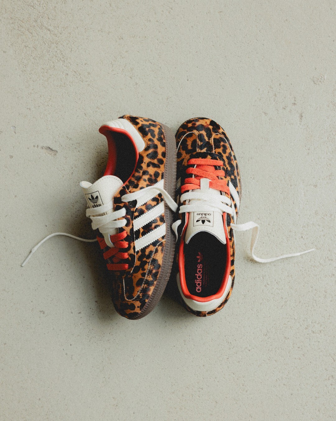 預購┃adidas SAMBA OG 豹紋 白 橘 馬毛