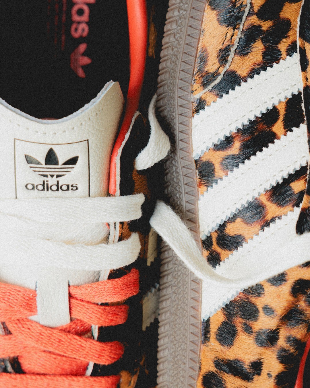 預購┃adidas SAMBA OG 豹紋 白 橘 馬毛