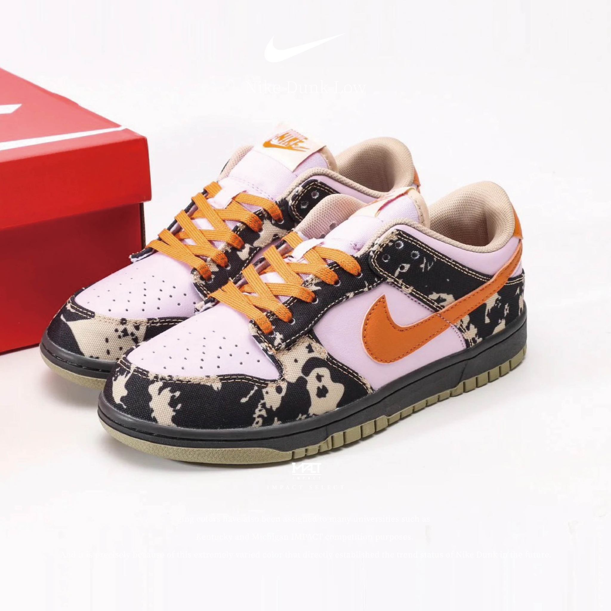 NIKE DUNK LOW “DIGITAL CAMO” 數碼迷彩 男鞋 IB2260-500