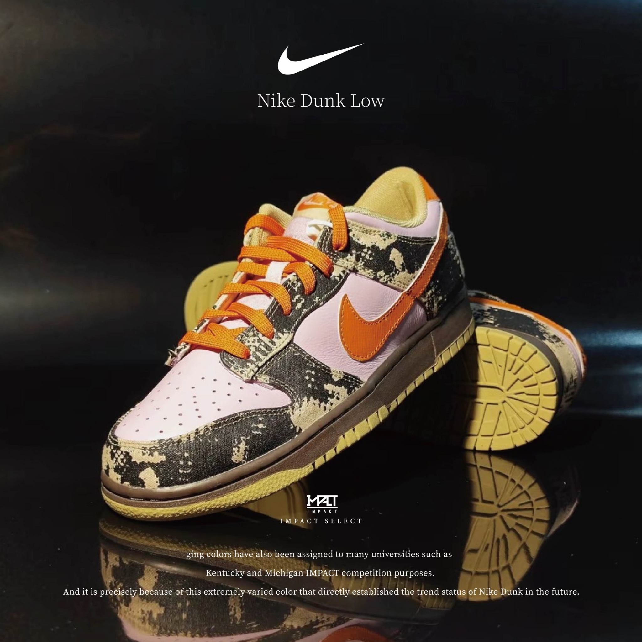 NIKE DUNK LOW “DIGITAL CAMO” 數碼迷彩 男鞋 IB2260-500