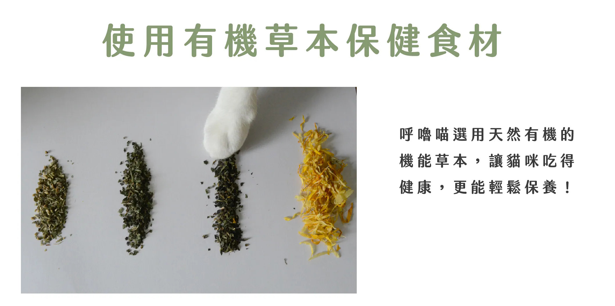 hulumeow 植感機能主食罐