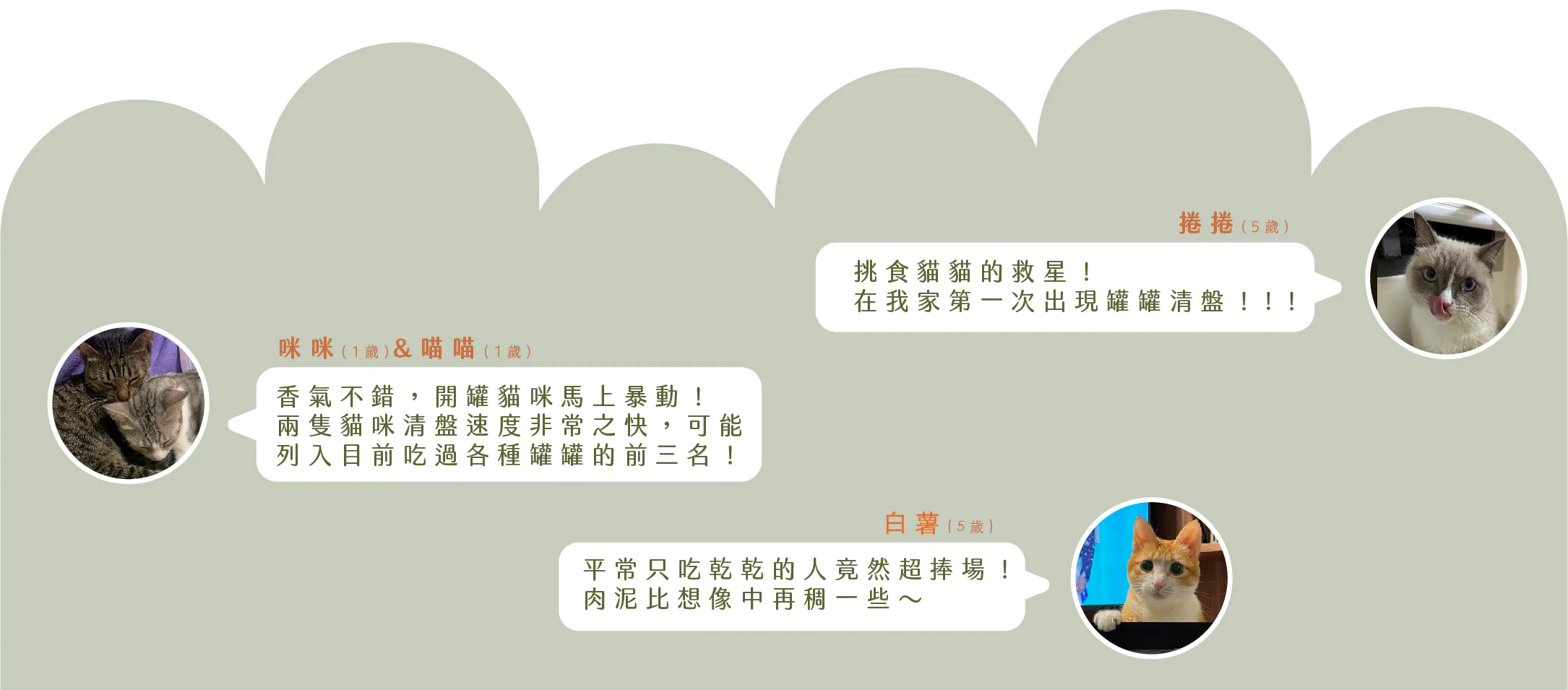 hulumeow 植感機能主食罐