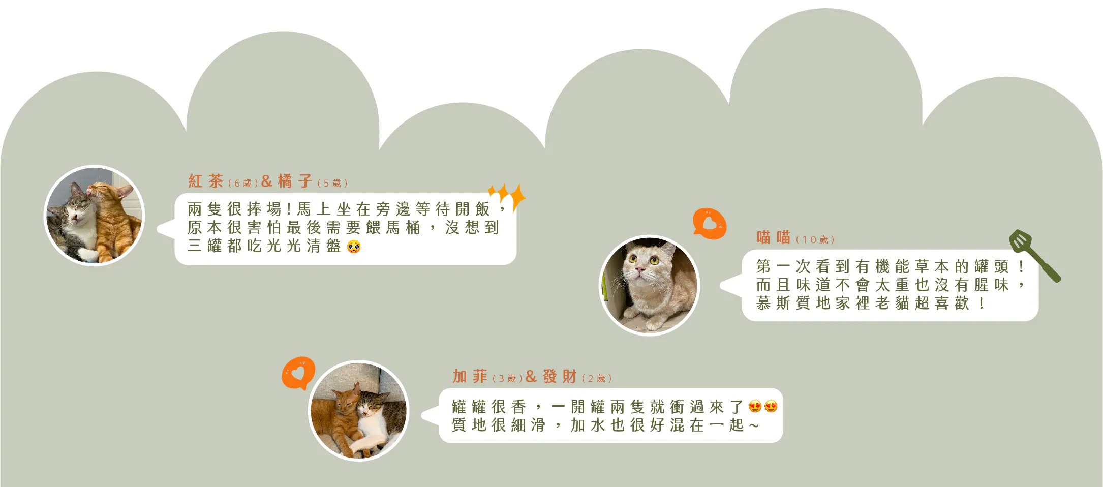 hulumeow 植感機能主食罐