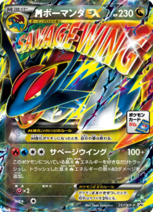 POKEMON JAPANESE PROMO 257/XY-P