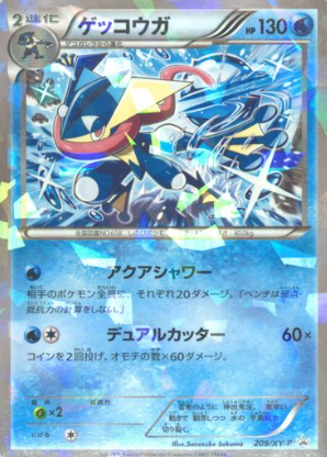 POKEMON JAPANESE PROMO 209/XY-P
