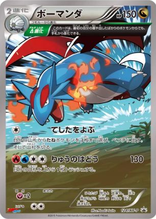 POKEMON JAPANESE PROMO 124/XY-P