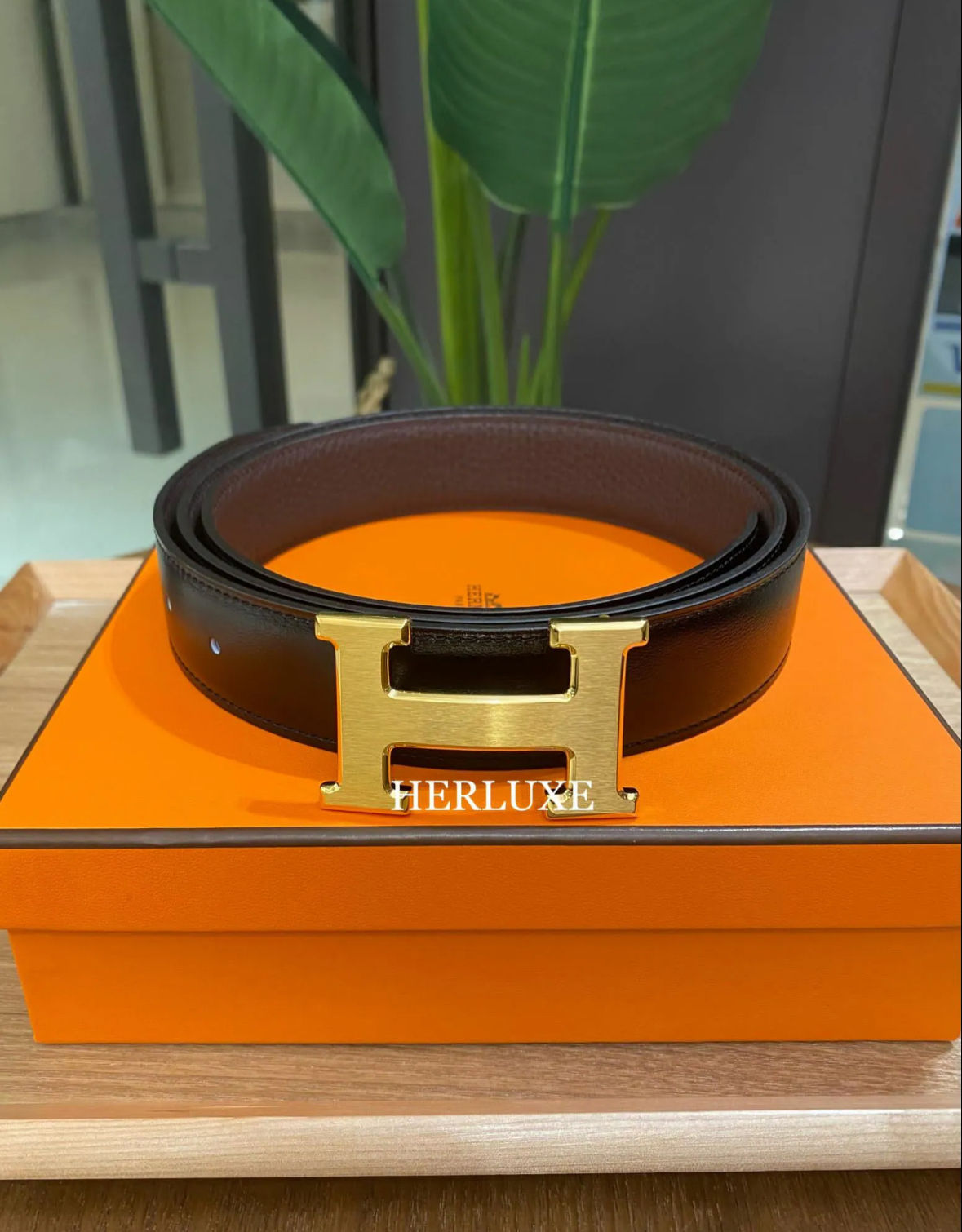 H belt 32mm CM noir / gold 100cm