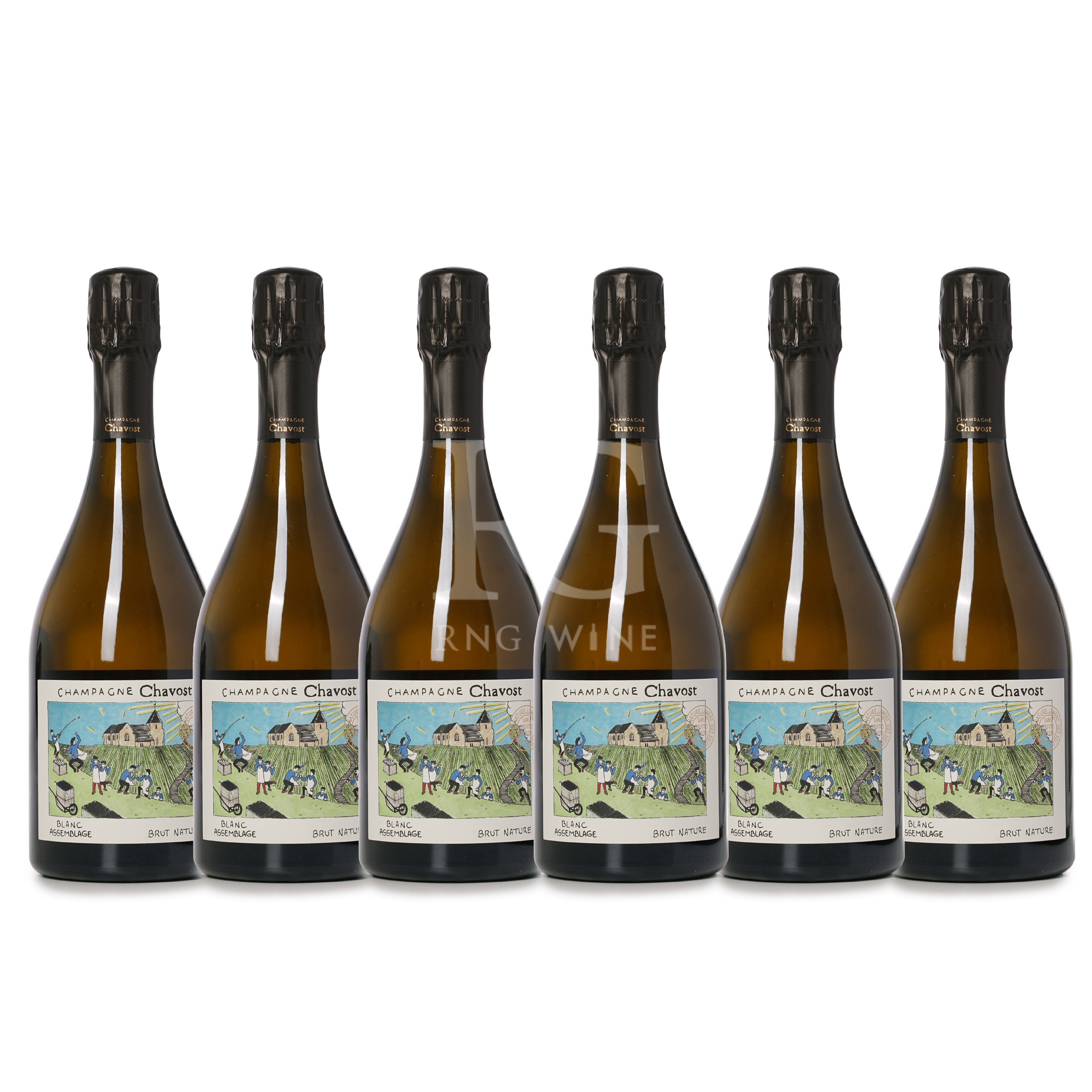 Chavost Blanc d'Assemblage Brut Nature - 6 Bottle Pack