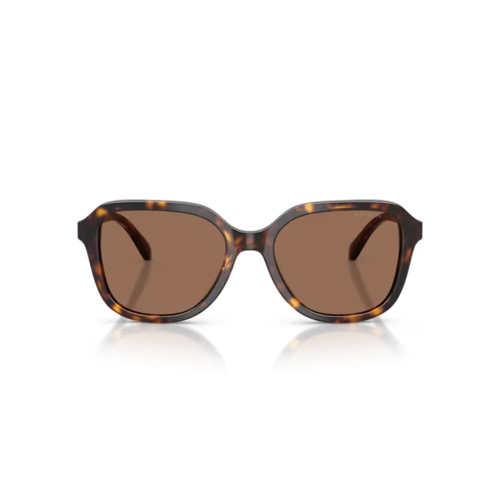 【COACH】HC8437F 512073-56mm 方框太陽眼鏡♣(琥珀 咖色鏡片)