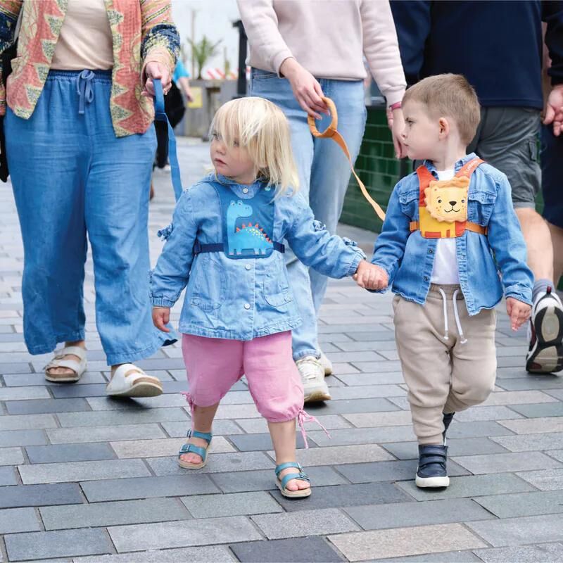 LittleLife 學行防走失動物造型安全繫帶 - 恐龍