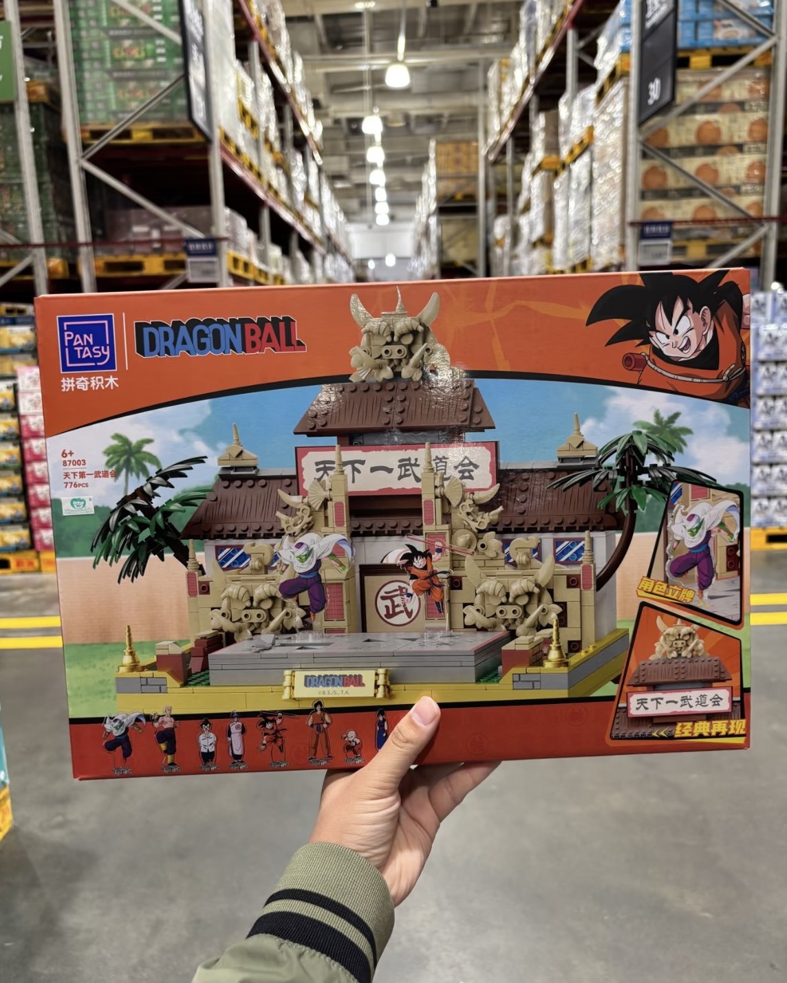 pantasy 七龍珠 天下第一武道會 拼奇積木 正版授權 龍珠 禮物 孫悟空 擺件 87003