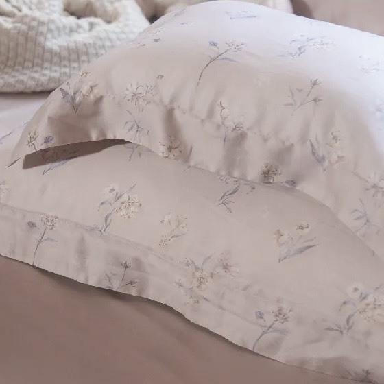 60支天絲薄枕頭套 | 銀扇草 DR8600