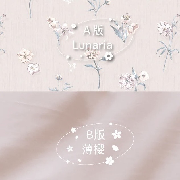 60支天絲薄被單 | 銀扇草 DR8600