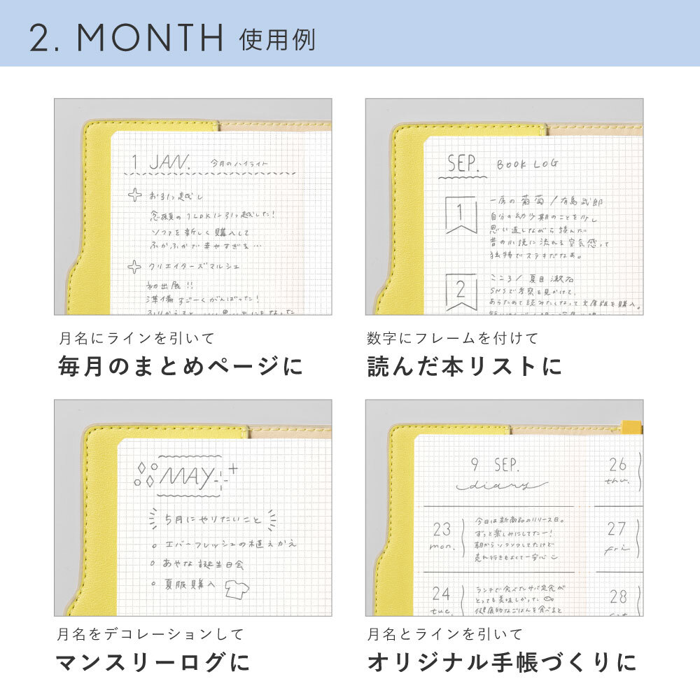 SUNNY 圖形尺- 月份｜日本IROHA