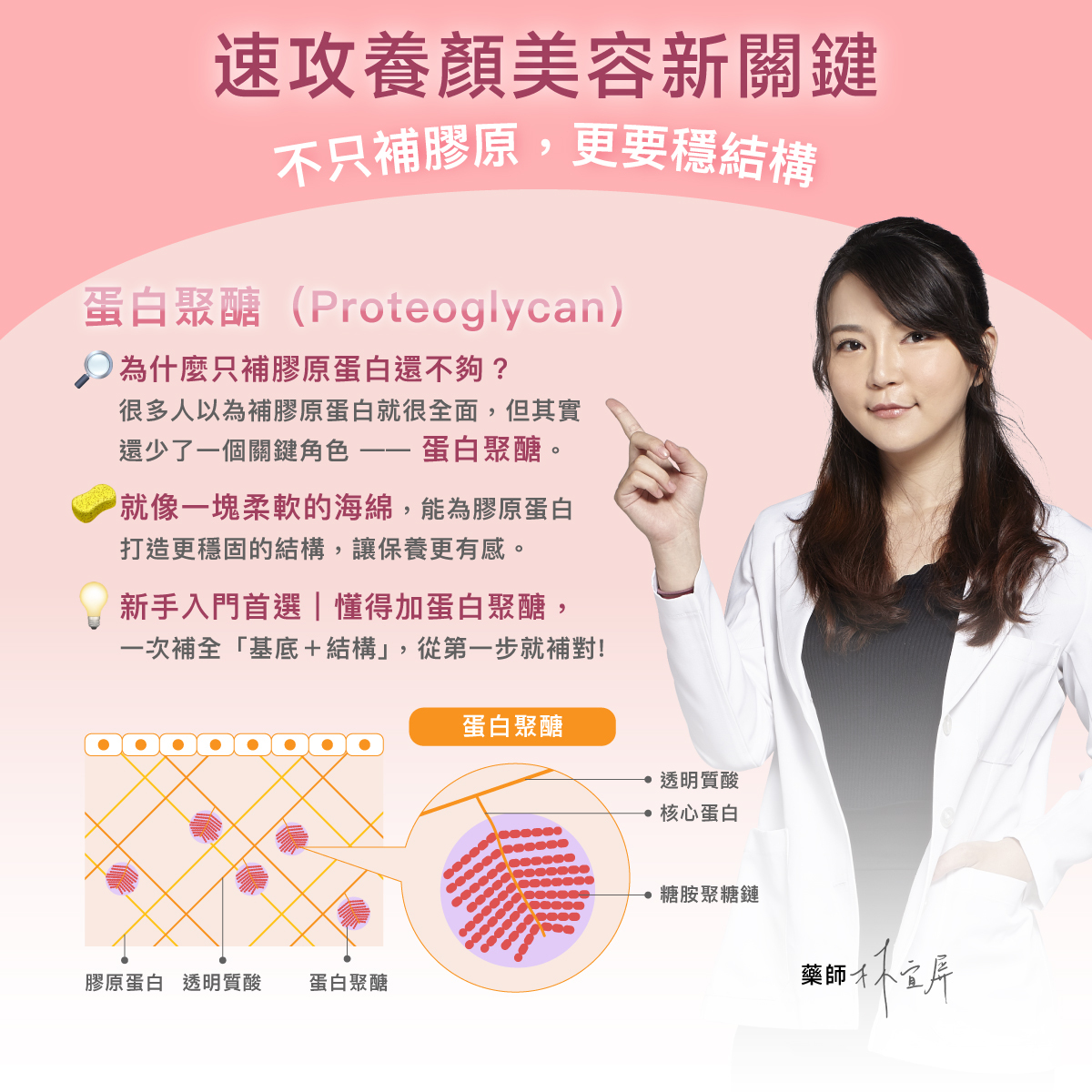 養顏美容.蛋白聚醣.穩固結構.膠原蛋白