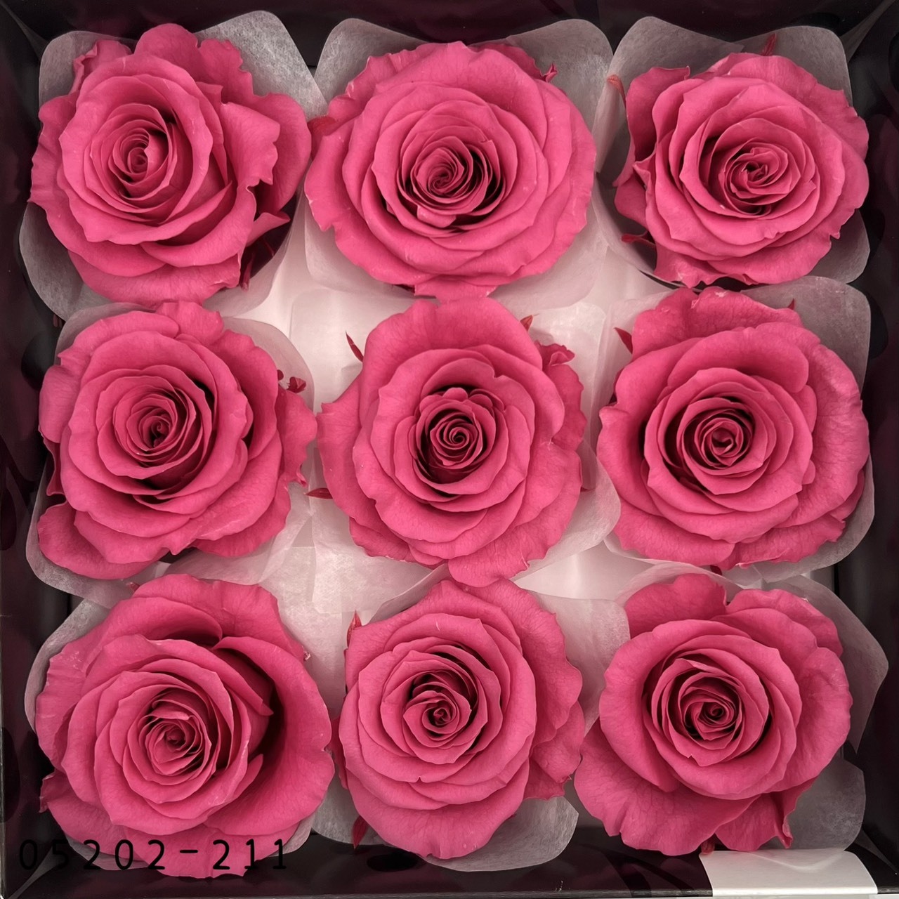 日本不凋大輪玫瑰(M-9朵) 05202-211