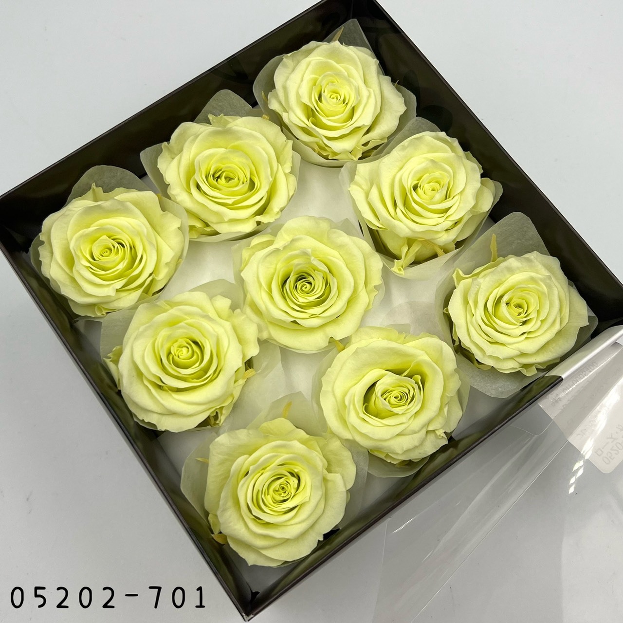 日本不凋大輪玫瑰(M-9朵) 05202-701