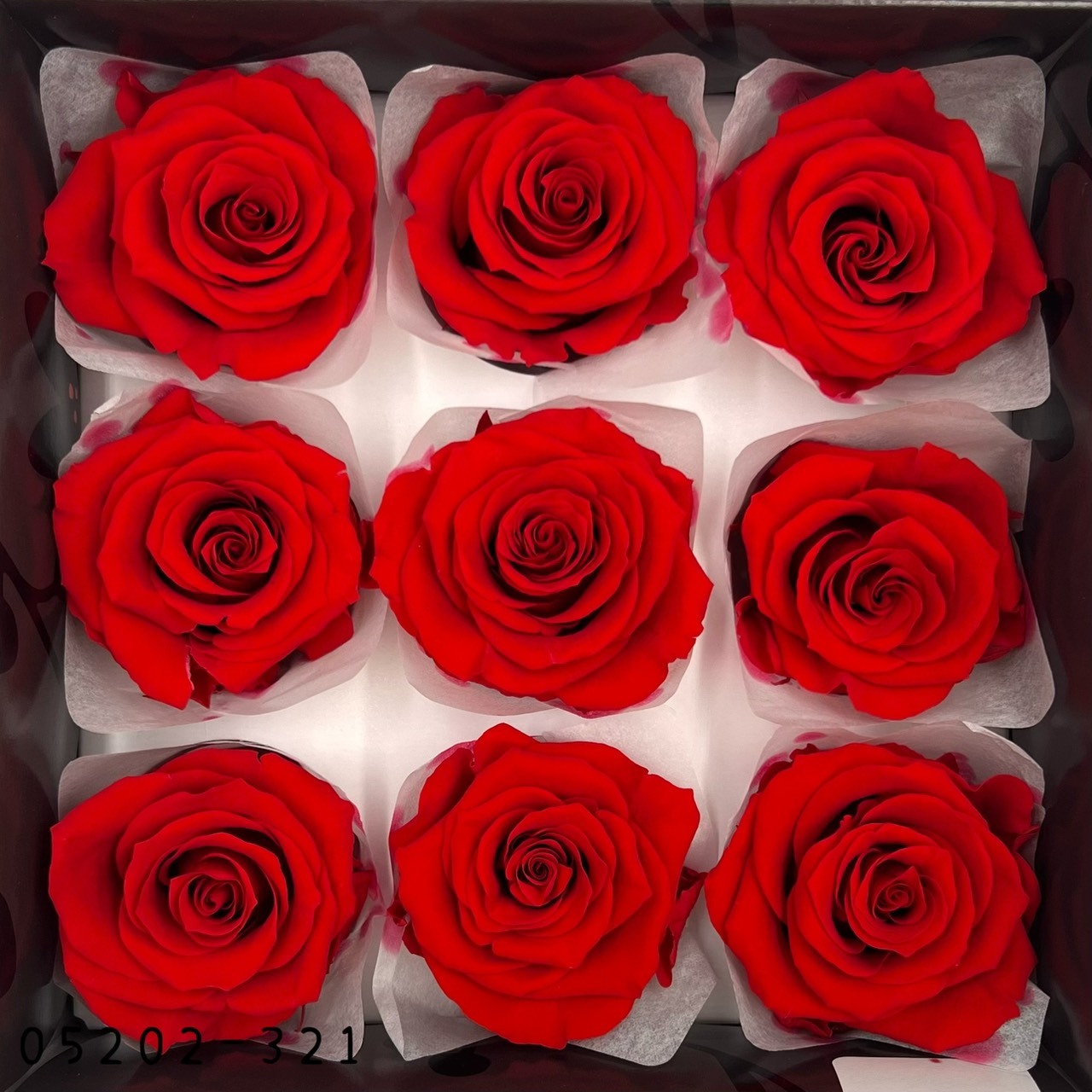 日本不凋大輪玫瑰(M-9朵) 05202-321