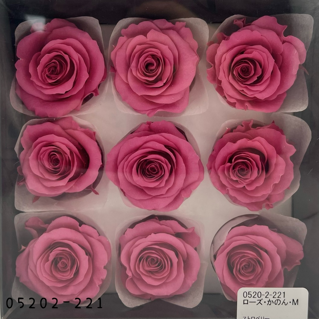 日本不凋大輪玫瑰(M-9朵) 05202-221