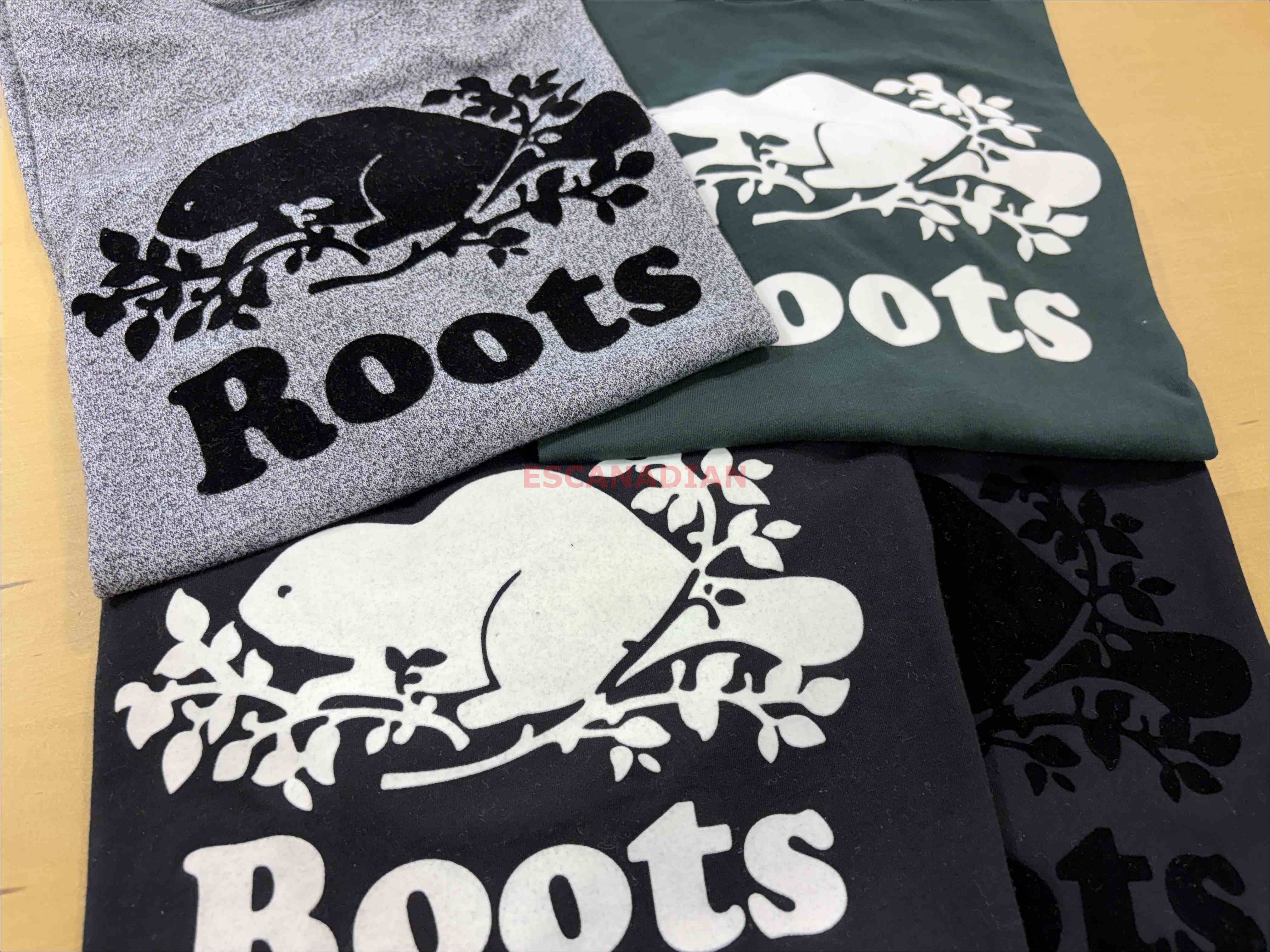 ROOTS 男大人 經典款 海狸 短TEE (4色)