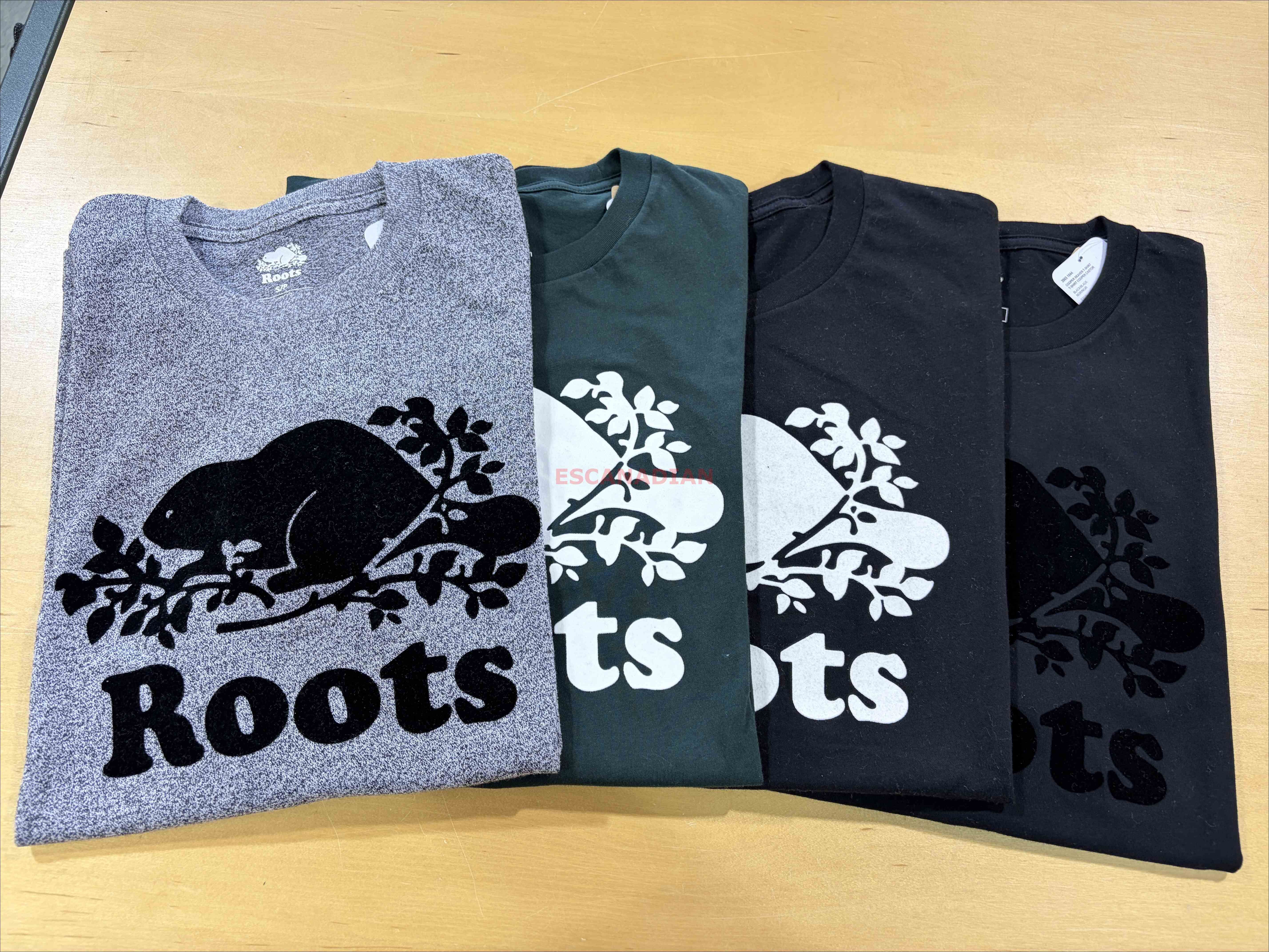 ROOTS 男大人 經典款 海狸 短TEE (4色)