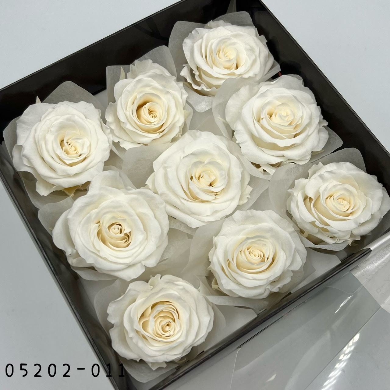 日本不凋大輪玫瑰(M-9朵) 05202-011