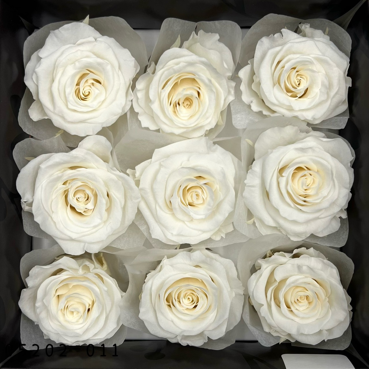 日本不凋大輪玫瑰(M-9朵) 05202-011