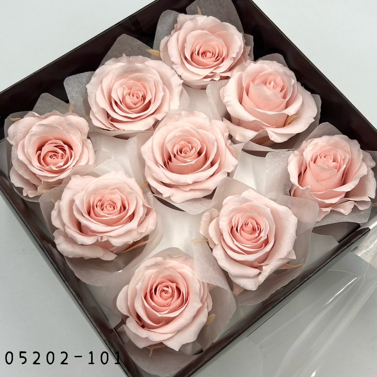 日本不凋大輪玫瑰(M-9朵) 05202-101