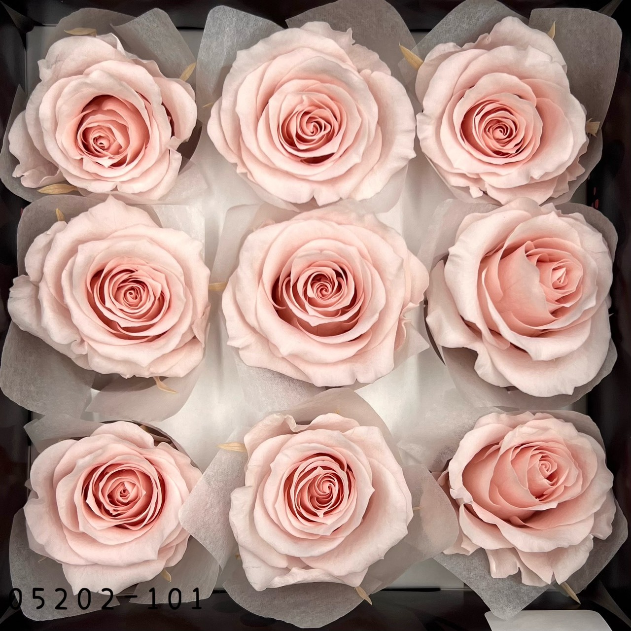 日本不凋大輪玫瑰(M-9朵) 05202-101