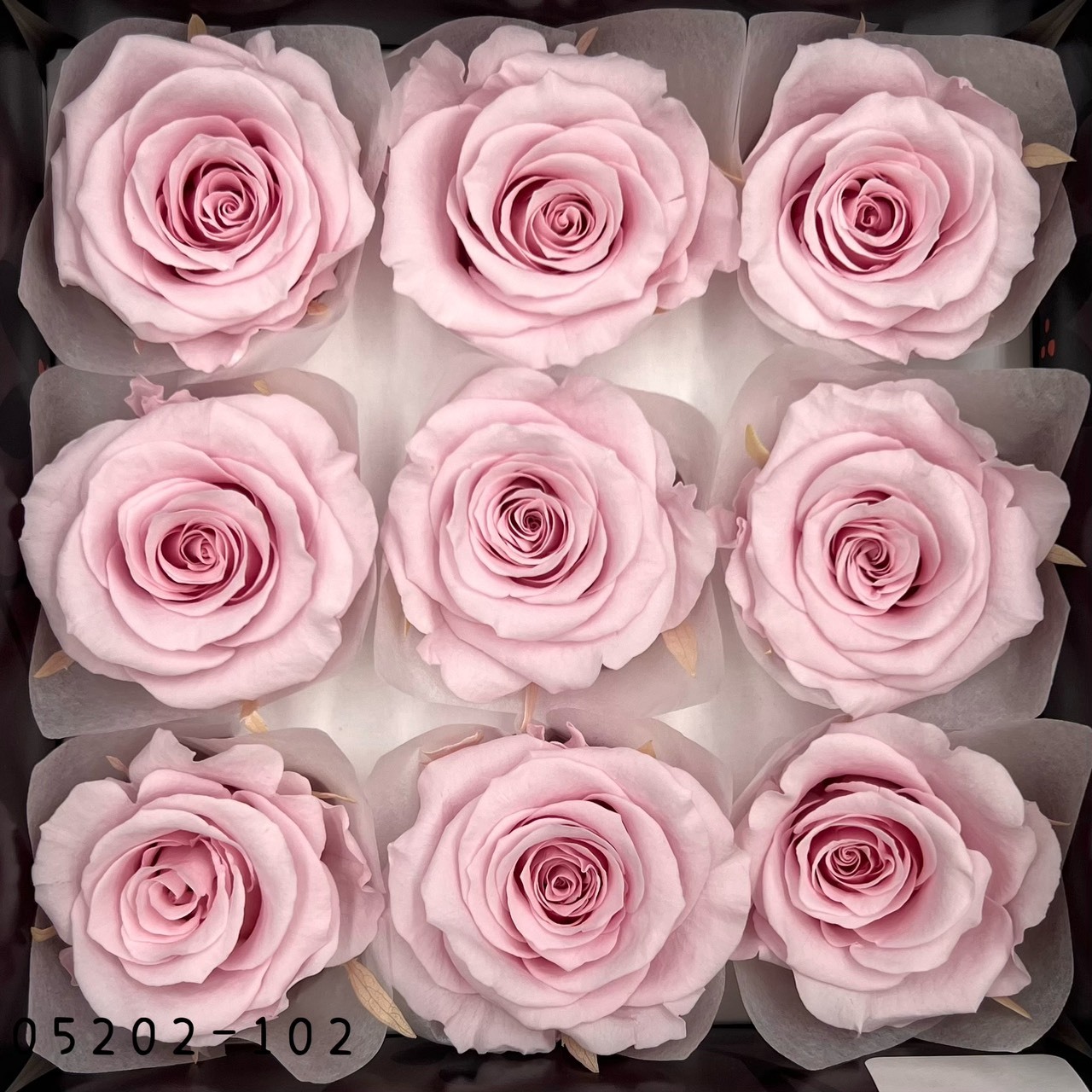 日本不凋大輪玫瑰(M-9朵) 05202-102
