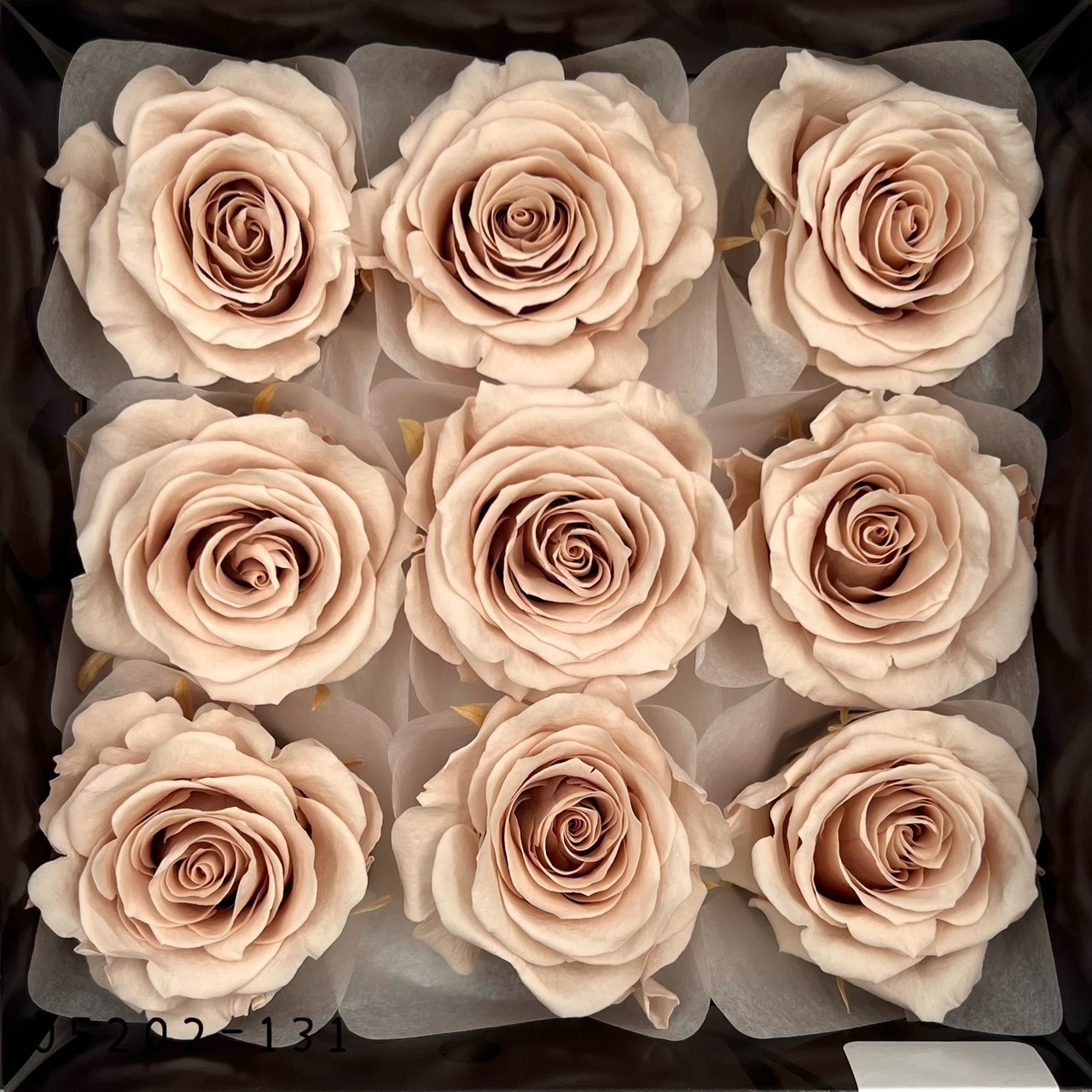 日本不凋大輪玫瑰(M-9朵) 05202-131