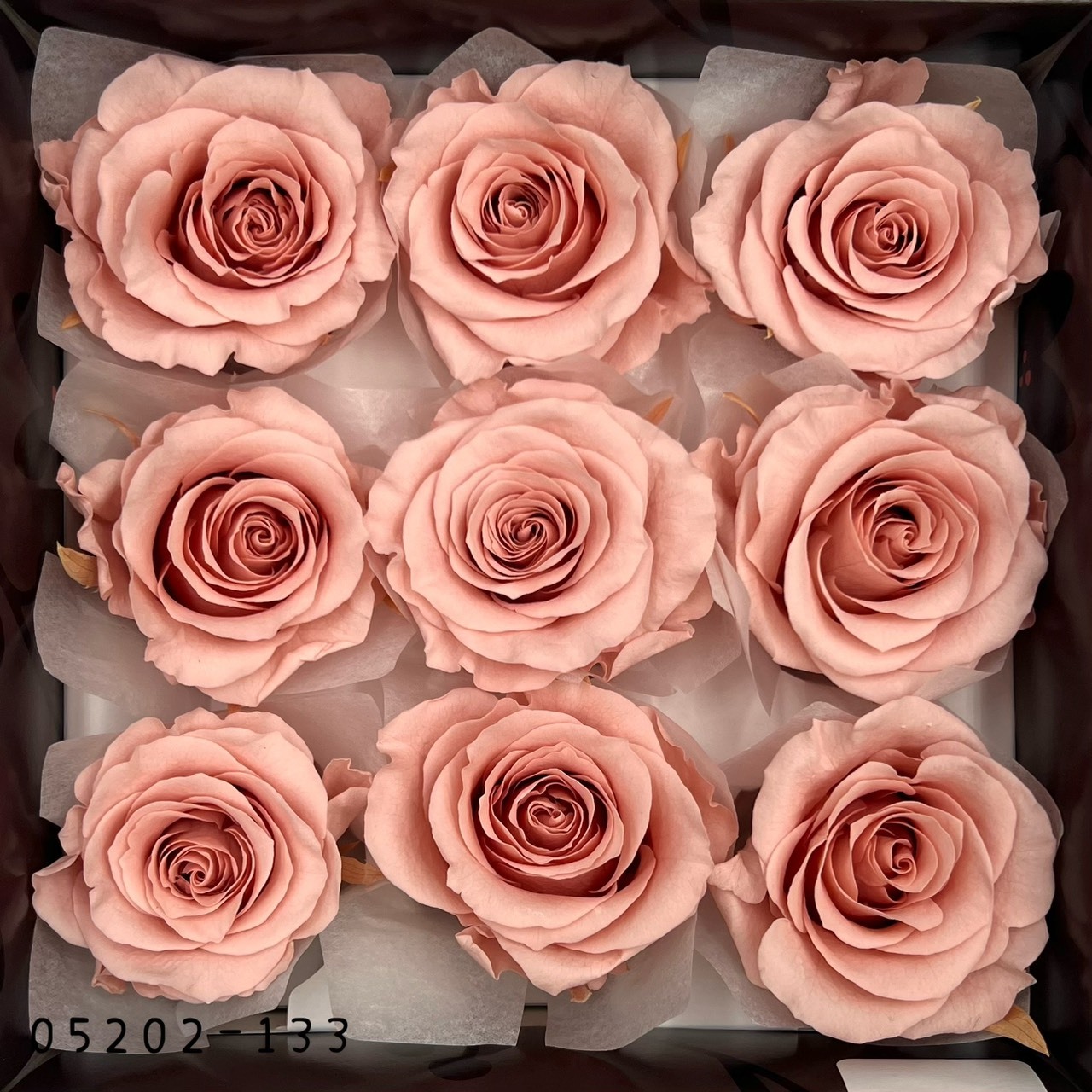 日本不凋大輪玫瑰(M-9朵) 05202-133