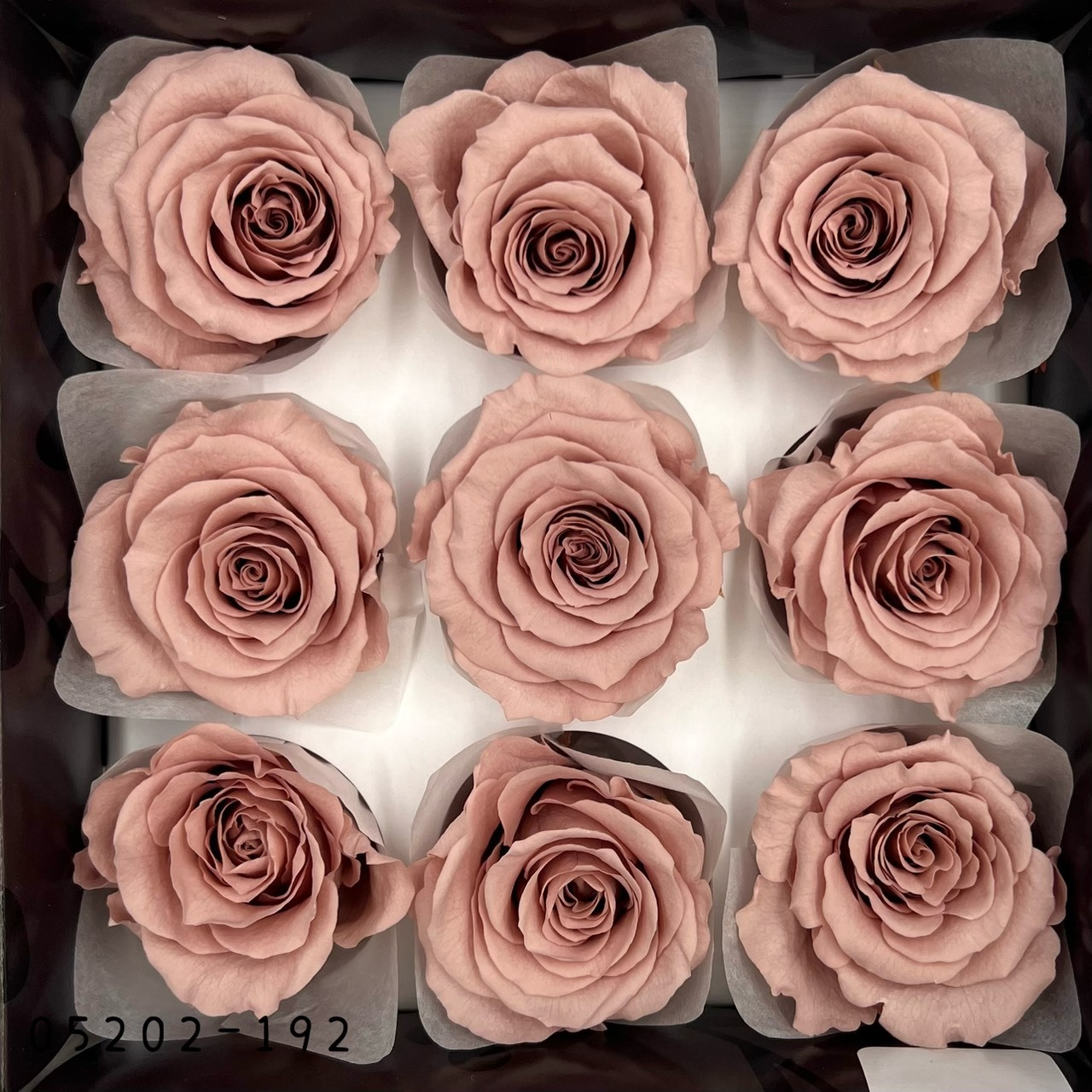 日本不凋大輪玫瑰(M-9朵) 05202-192