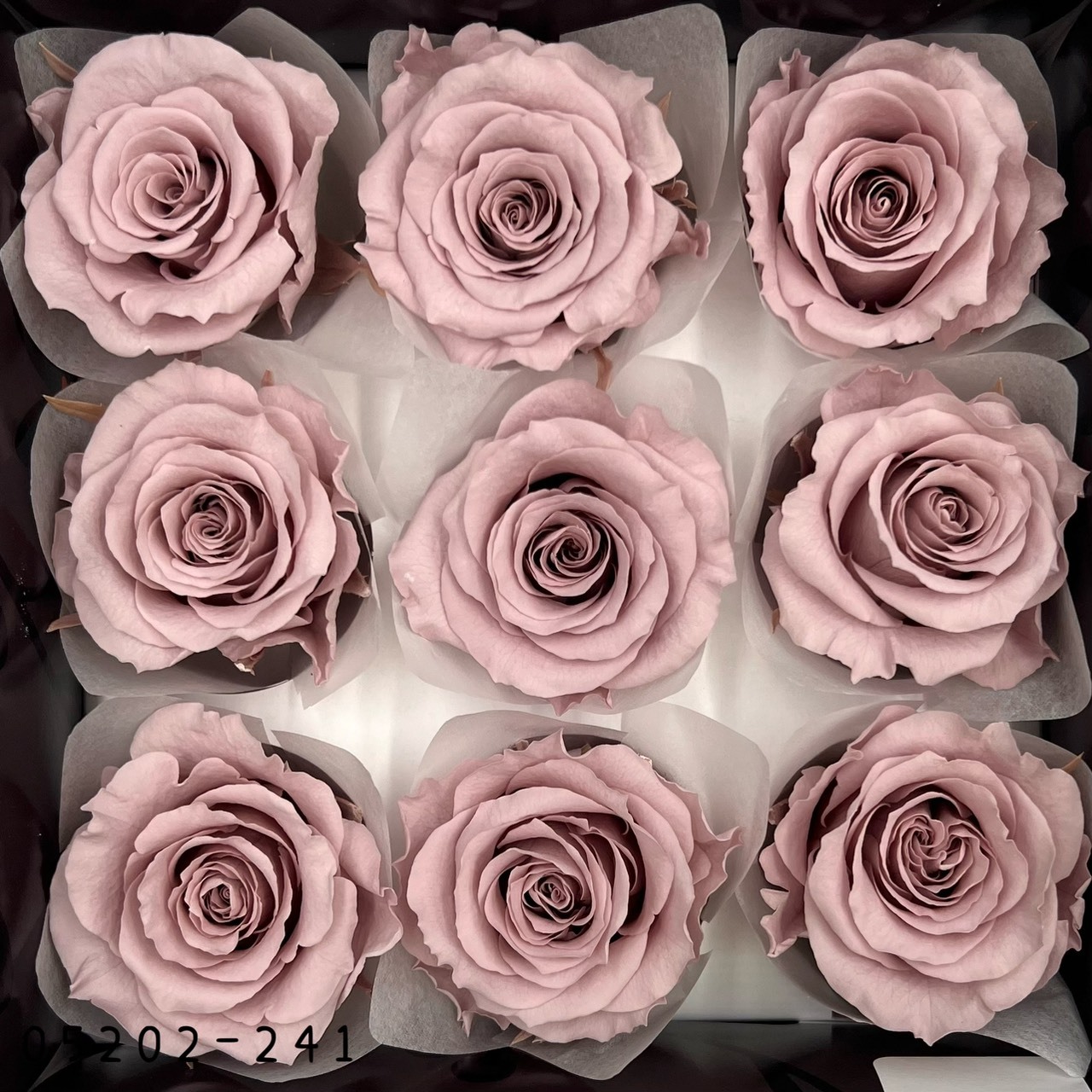 日本不凋大輪玫瑰(M-9朵) 05202-241