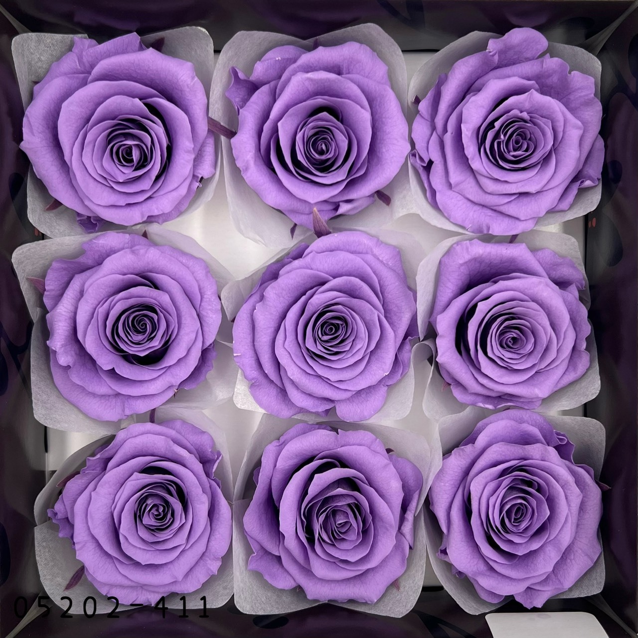 日本不凋大輪玫瑰(M-9朵) 05202-411