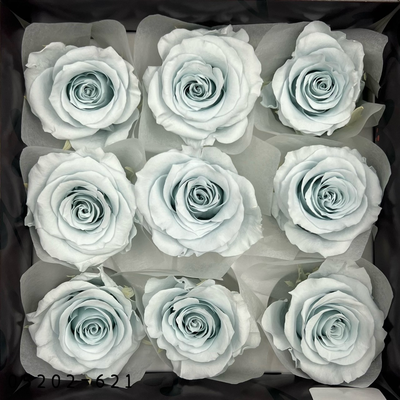 日本不凋大輪玫瑰(M-9朵) 05202-621