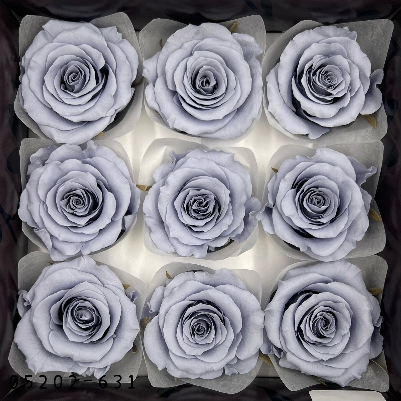 日本不凋大輪玫瑰(M-9朵) 05202-631