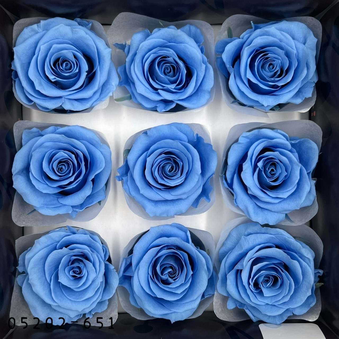 日本不凋大輪玫瑰(M-9朵) 05202-651