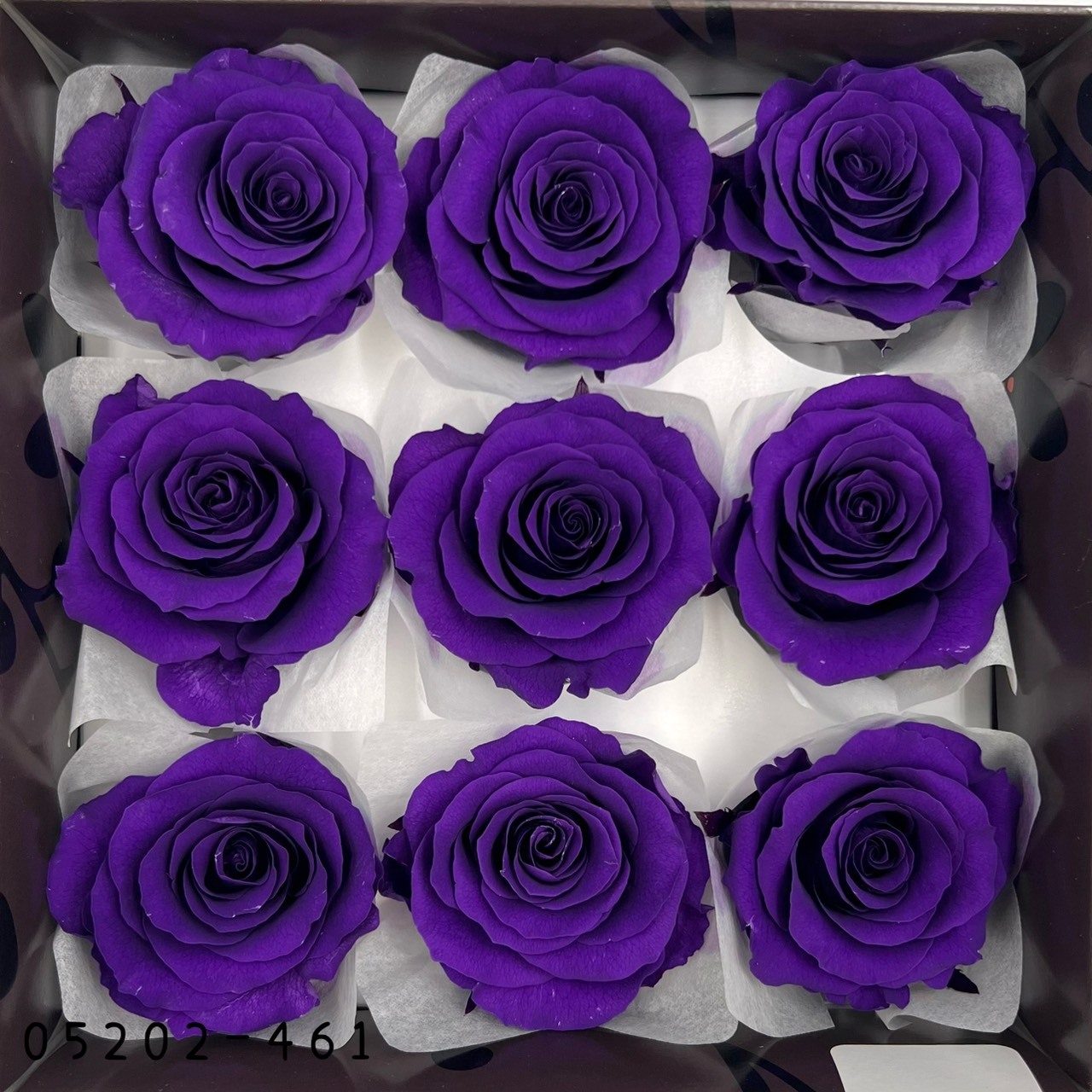 日本不凋大輪玫瑰(M-9朵) 05202-461