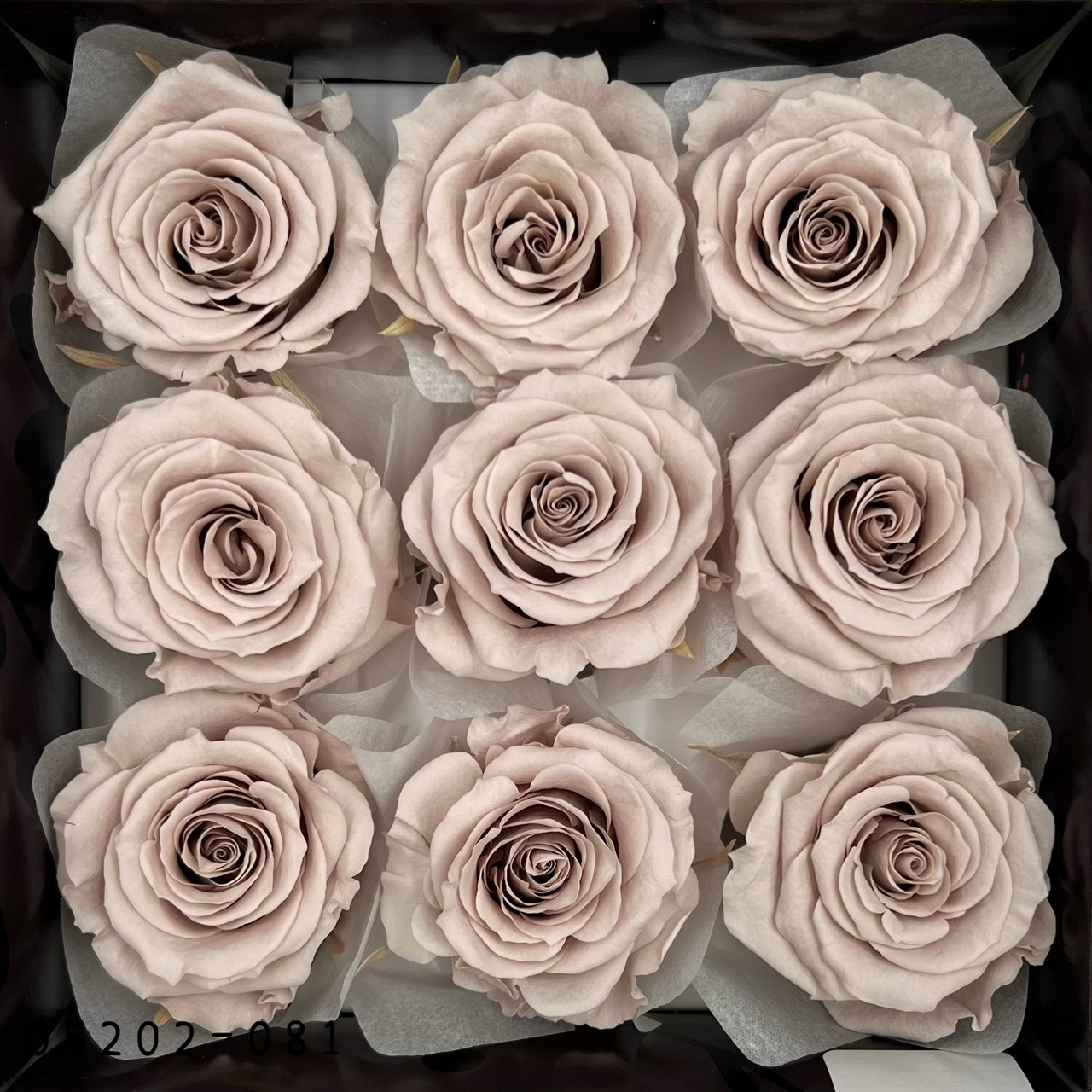 日本不凋大輪玫瑰(M-9朵) 05202-081