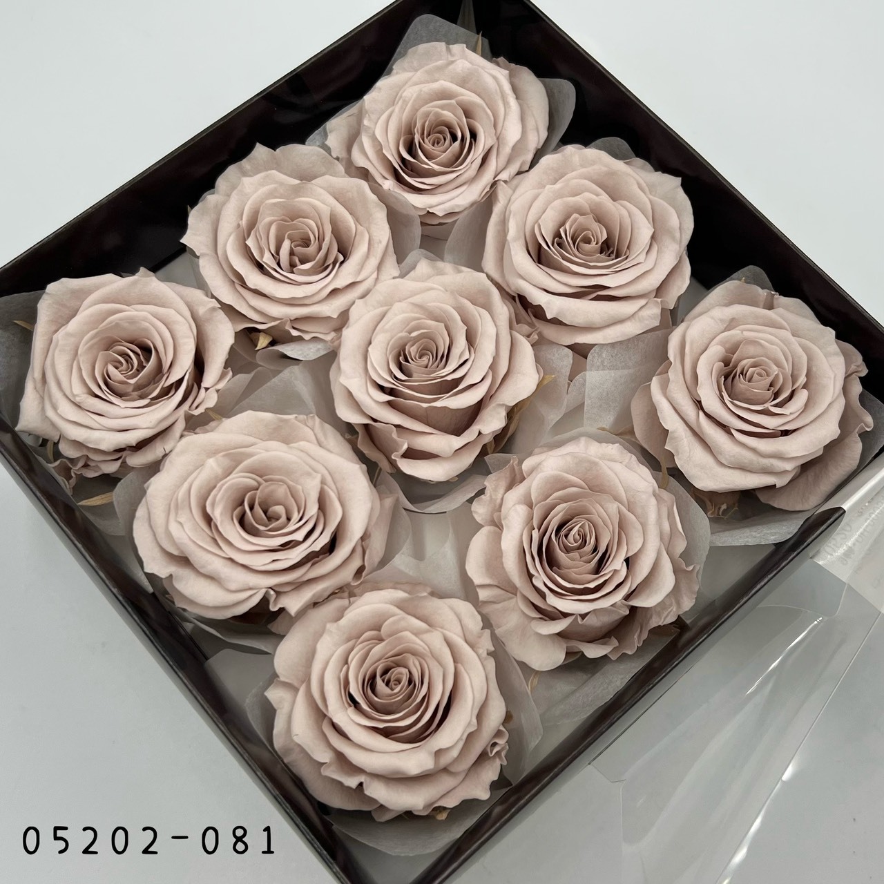 日本不凋大輪玫瑰(M-9朵) 05202-081