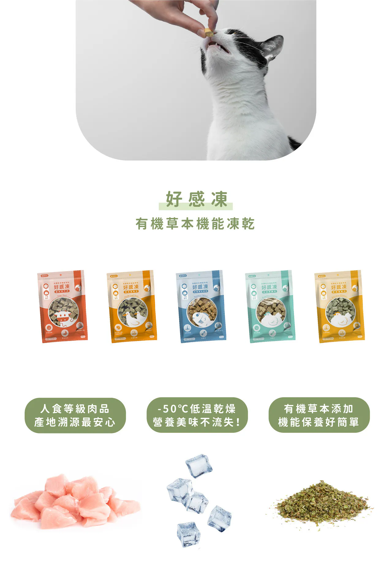 台灣 hulumeow 好感凍｜有機草本機能凍乾