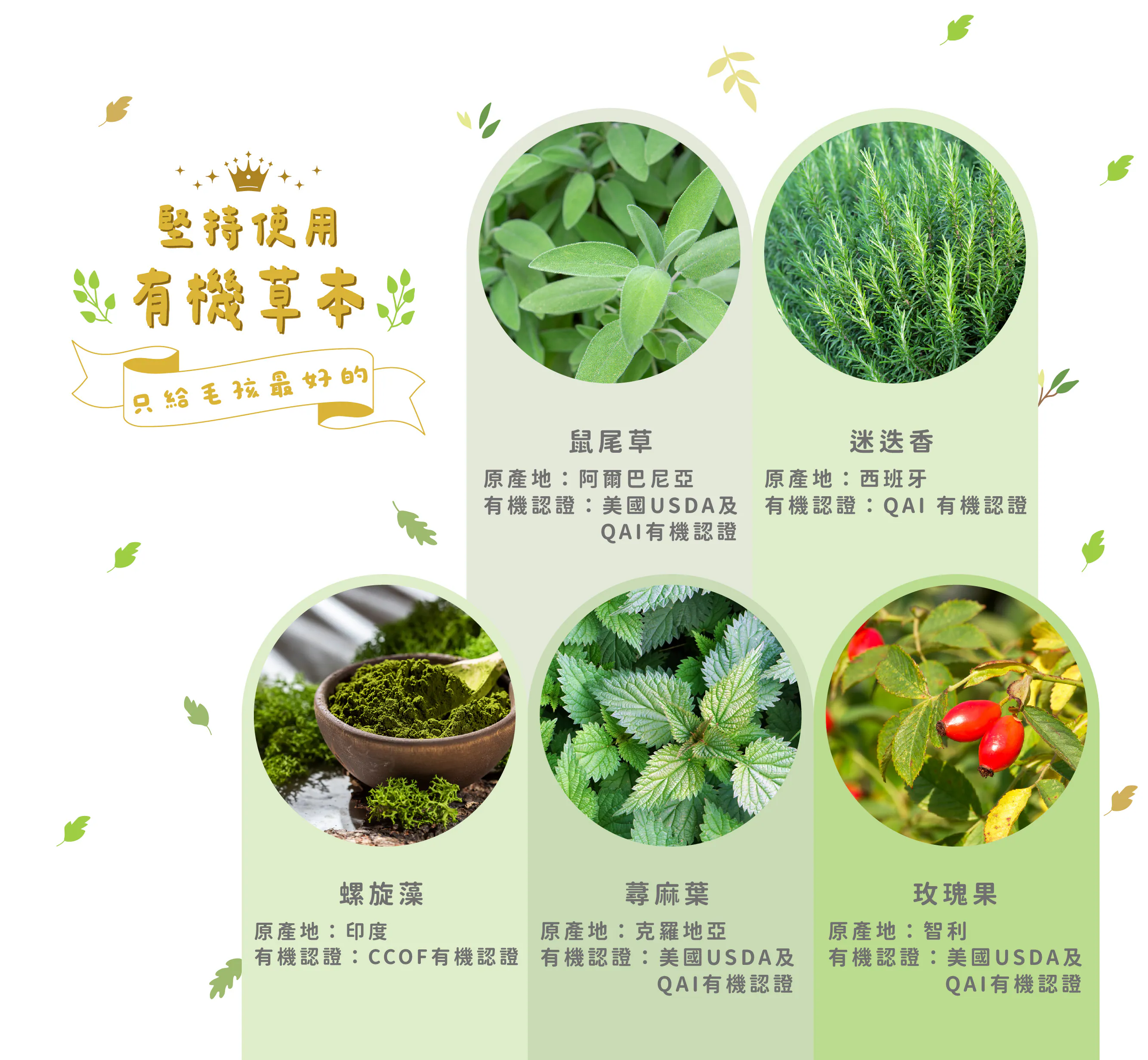 台灣 hulumeow 好感凍｜有機草本機能凍乾