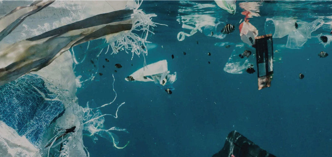 環境友善 不造成環境負擔 垃圾減到最低