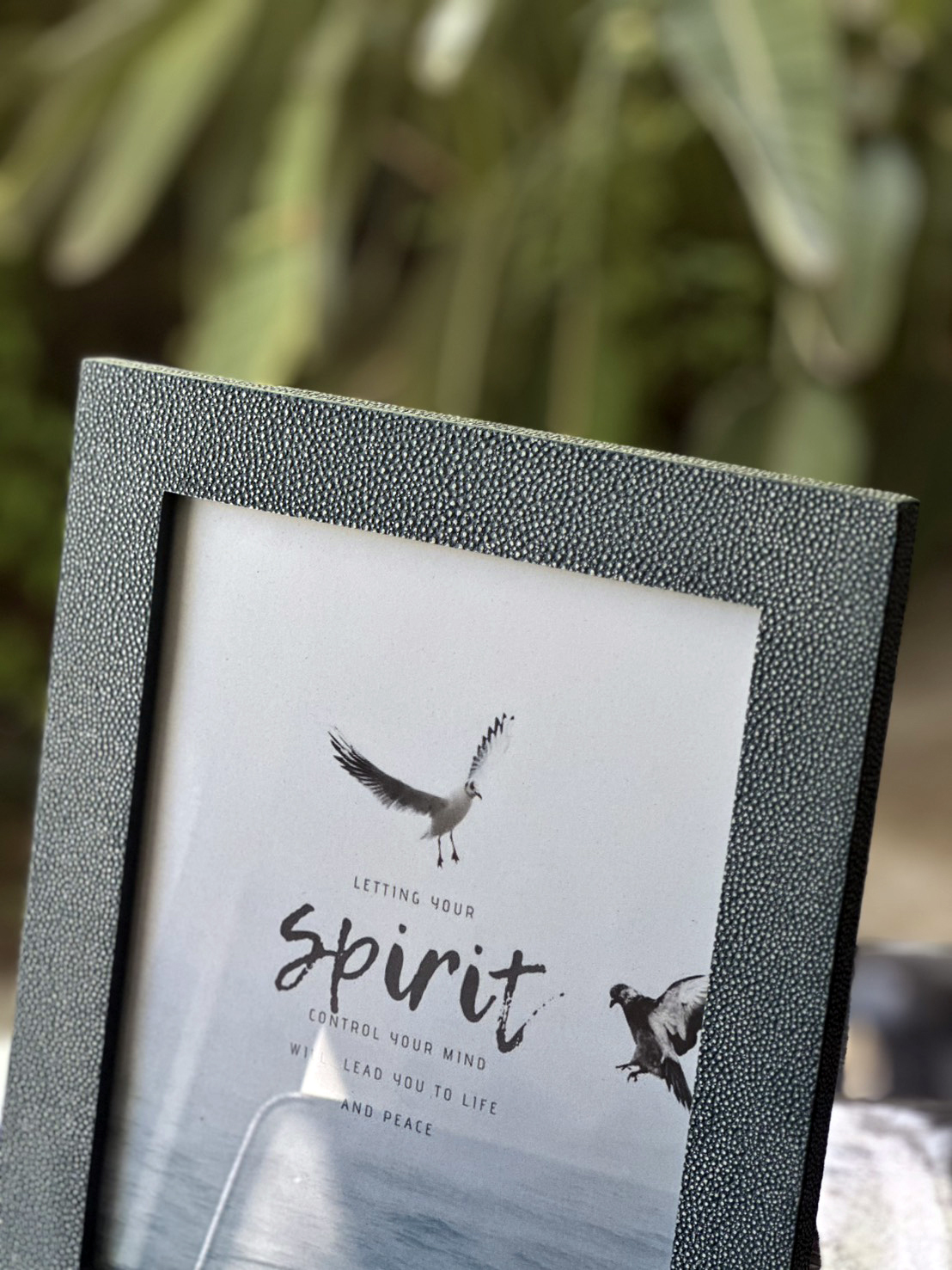 魟魚皮相框-湖綠