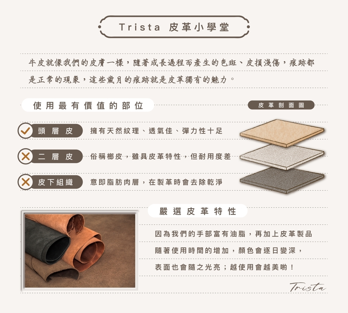 頭層牛皮 植鞣革 真皮結構示意圖 Trista 包款 使用頭層牛皮 教學 認識皮革