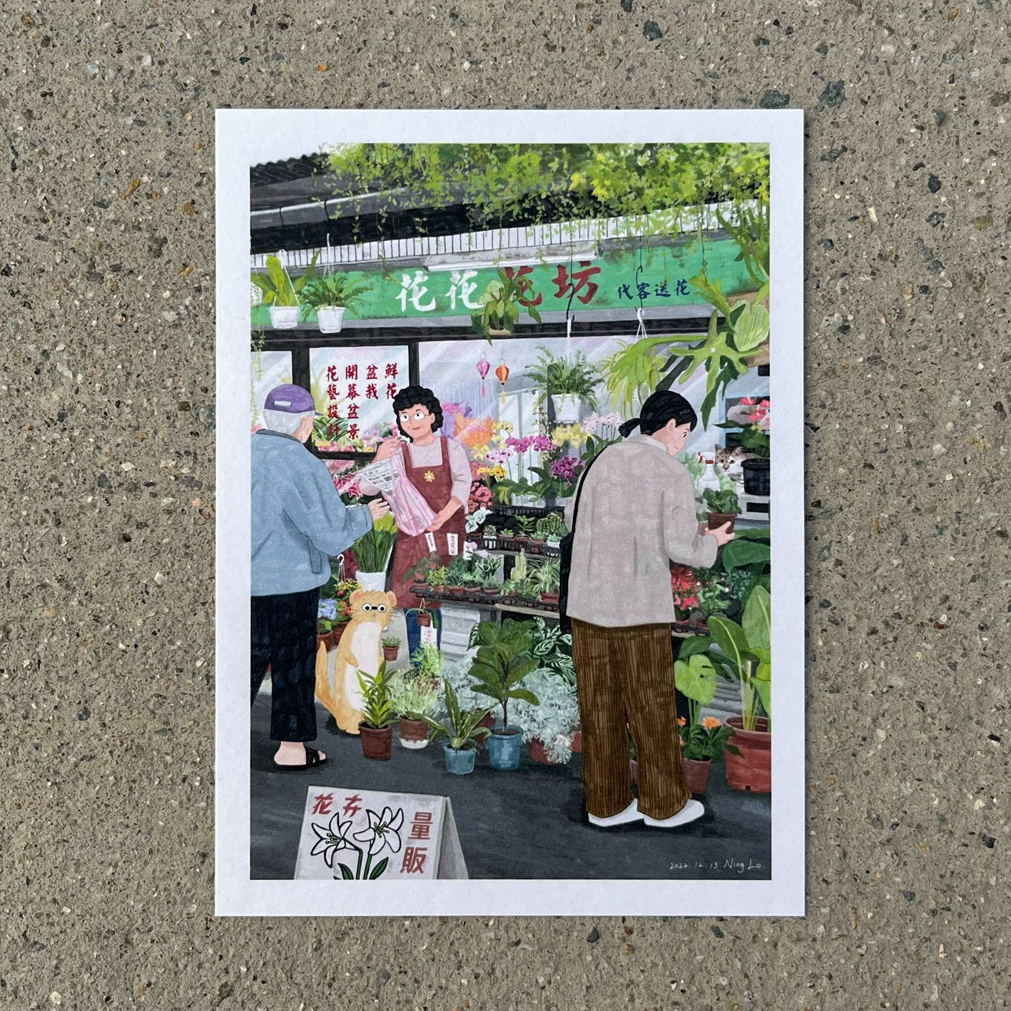 花花花坊_活所在系列 插畫明信片｜羅寗 Lo Ning